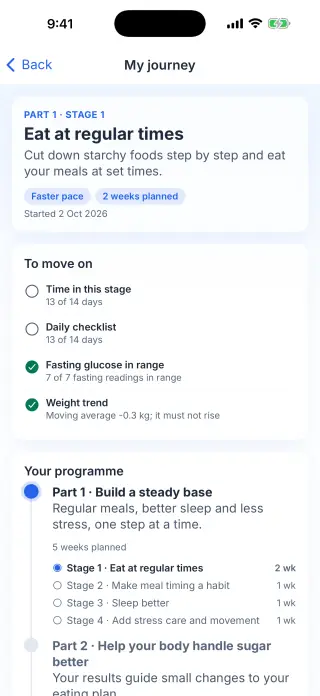 Journey screen with programme stages and requirements